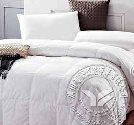 广州宾馆床上用品批发指南 空调被、羽丝被、棉被等被芯采购攻略